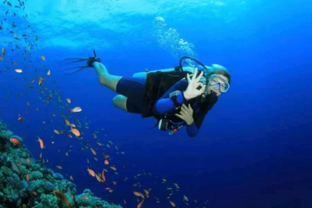 Discover scuba diving