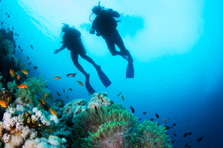 open water diver course